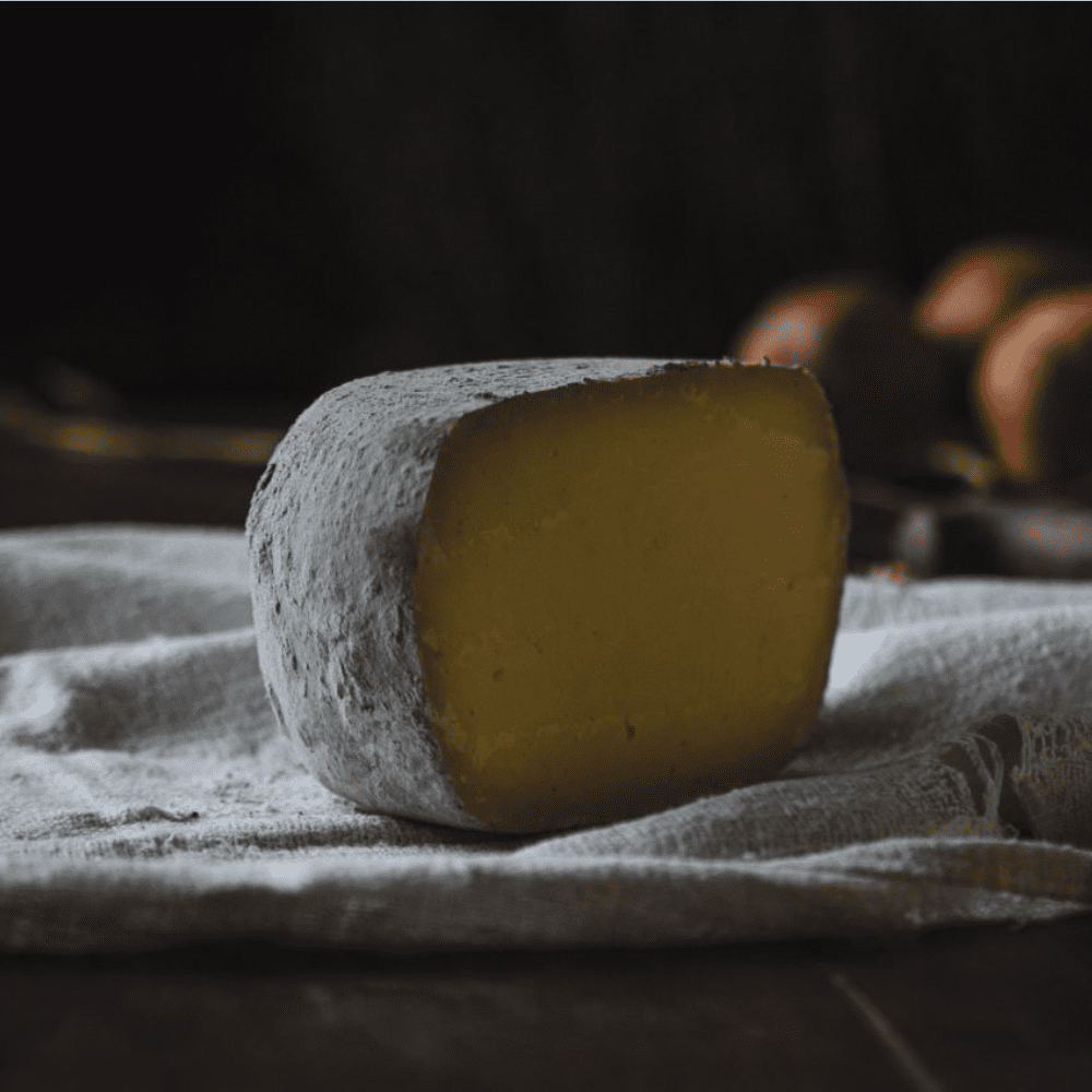PECORINO IL CENERINO - immagine 2