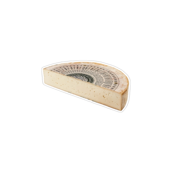 FONTINA
